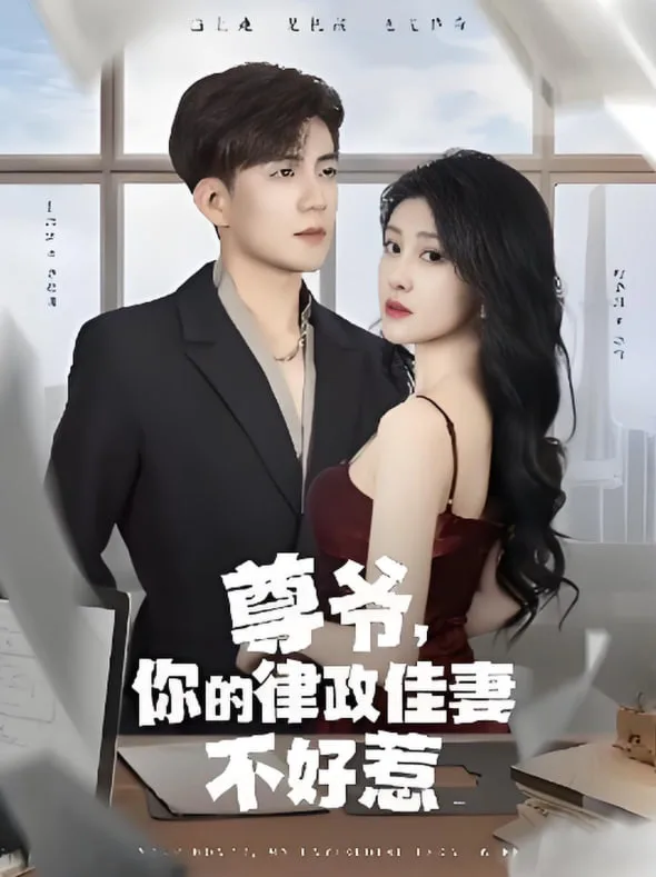 尊爷你的律政娇妻不好惹