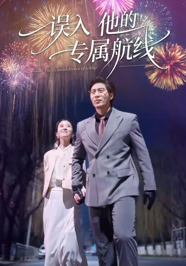 误入他的专属航