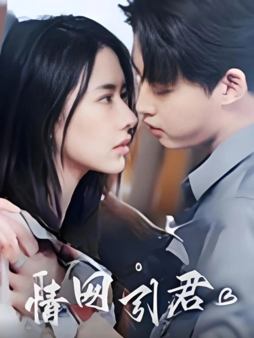 情网引君