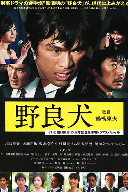 流浪狗 野良犬