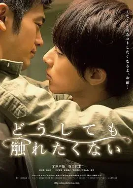 无法触碰的爱(2014)